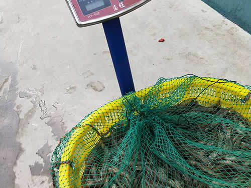 捕蝦現(xiàn)場06