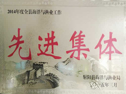 2014年度先進(jìn)集體