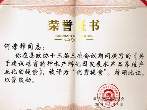 優(yōu)秀提案榮譽(yù)證書（2019）