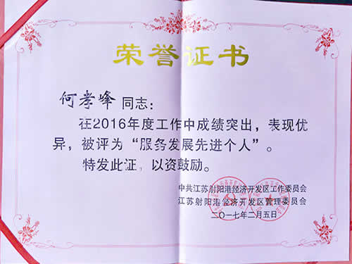 服務(wù)發(fā)展先進(jìn)個(gè)人榮譽(yù)證書