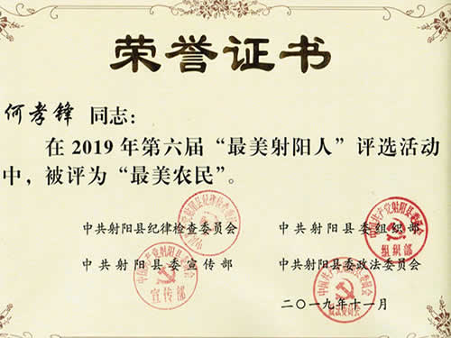 最美射陽(yáng)人榮譽(yù)證書