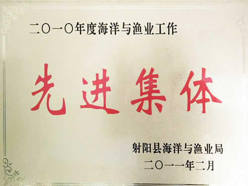 2010年度先進(jìn)集體