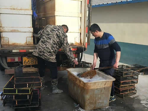 捕蝦現(xiàn)場07