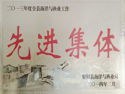 2013年度先進(jìn)集體